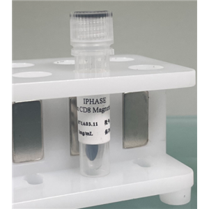 猴腎微粒體 Monkey Kidney Microsomes