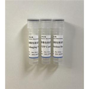 LENTIVIRAL PACKAGING KIT 慢病毒包裝試劑盒