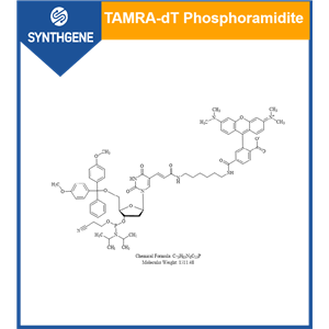 5'-Dimethoxytrityloxy-5-N-((tetramethylrhodaminyI)-aminohexyI)-3-acrylimido]-2'- deoxyuridine -3'-  [(2- cyanoethyI) N, N-diisopropyl)]-Phosphoramidite