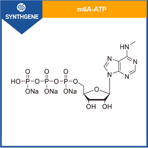 m6A-ATP