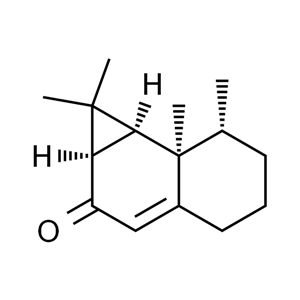 馬兜鈴酮