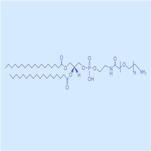 二硬脂?；字Ｒ掖及?聚乙二醇-氨基