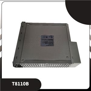 T8110B