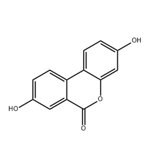 尿石素A