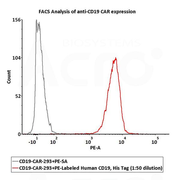 CD3.jpg