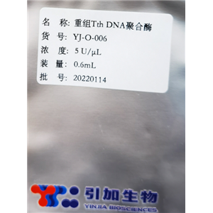 重組 Tth DNA 聚合酶