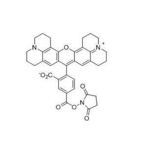 5-羧基-X-羅丹明琥珀酰亞胺酯  209734-74-7