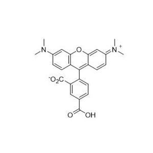 5-羧基四甲基羅丹明   91809-66-4