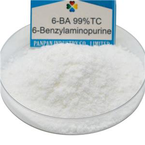 芐氨基嘌呤 6-BA; 6-Benzylaminopurine ;6ba ;6bap