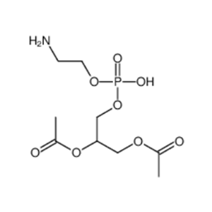 磷酯酰乙醇胺