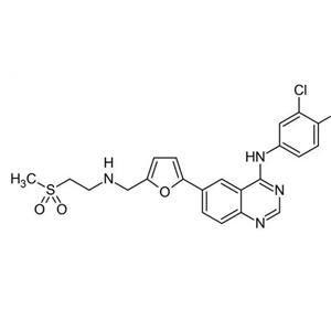 Hep G2 (人肝癌細胞) (STR鑒定正確)