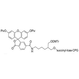 3’-(6-Fluorescein) CPG 1000