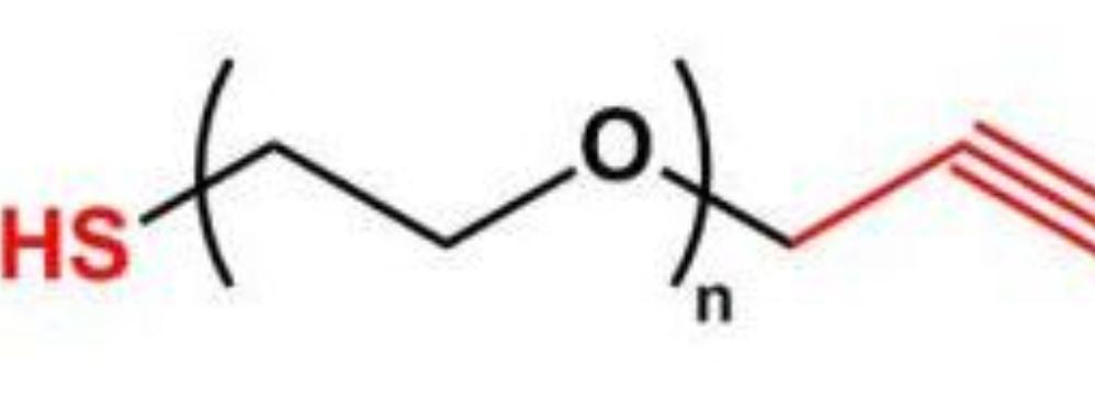 SH-PEG-Alkyne