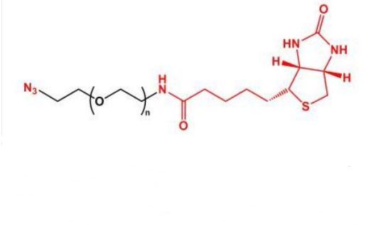 N3-PEG-Biotin