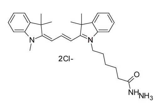 Cyanine3 hydrazide.jpg