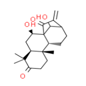 藍(lán)萼甲素，克級，98%