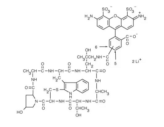 AF488 Phalloidin.png