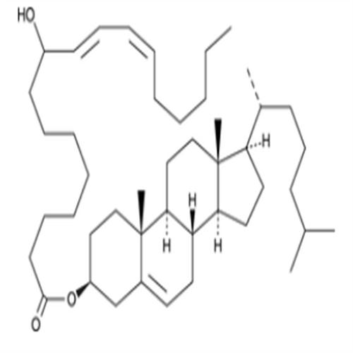 (±)9-HODE cholesteryl ester.png