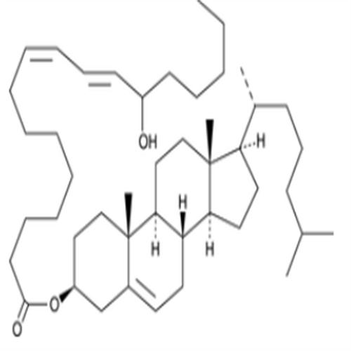 (±)13-HODE cholesteryl ester.png