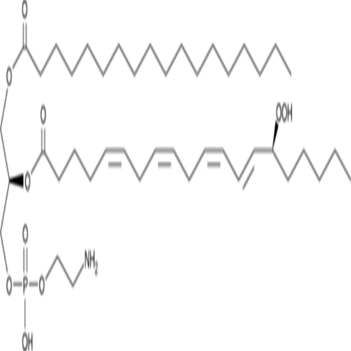 1-Stearoyl-2-15(S)-HpETE-sn-glycero-3-PE.png