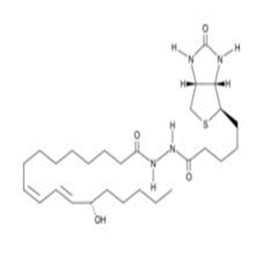 13(S)-HODE-biotin.jpg