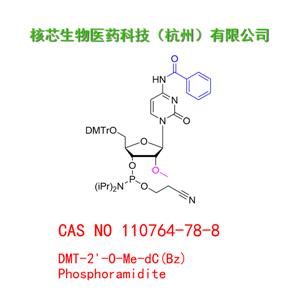 DMT-2'-O-Me-dC(Bz) Phosphoramidite 工廠大貨 產(chǎn)品圖片