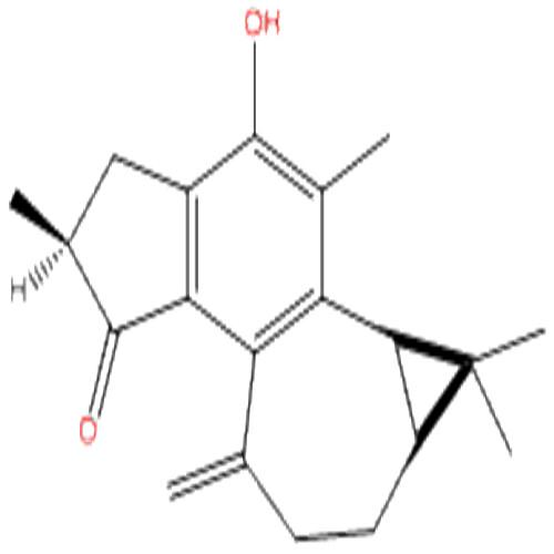 麻楓樹酚酮B.jpg