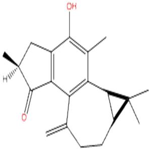 麻楓樹酚酮B