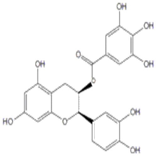 表兒茶素沒(méi)食子酸酯.jpg