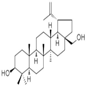 白樺脂醇