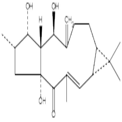 千金子二萜醇.jpg