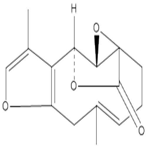 烏藥醚內(nèi)酯.jpg