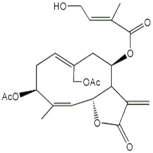 野馬追內(nèi)酯A.jpg