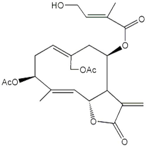 野馬追內(nèi)酯B.jpg