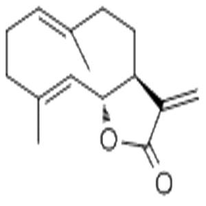 木香烴內(nèi)酯