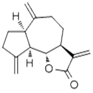 去氫木香內(nèi)酯