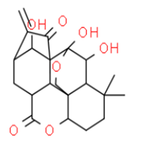 毛栲利素，98%