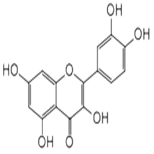 槲皮素.jpg