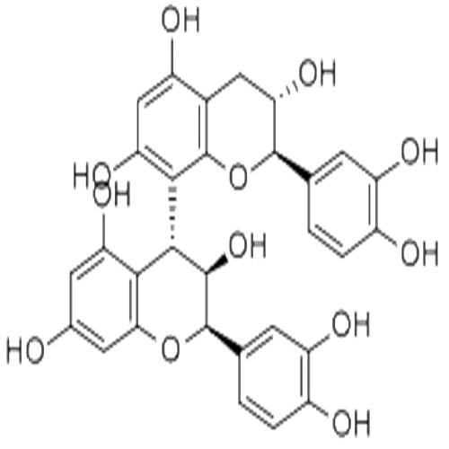 原花青素B1.jpg