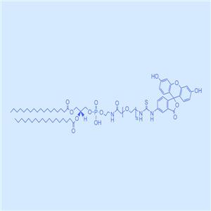 二硬脂?；字Ｒ掖及?聚乙二醇-熒光素