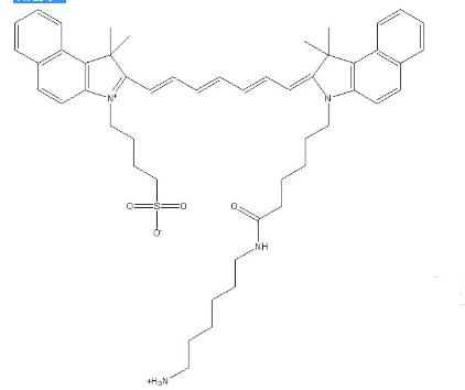 ICG-Amine 