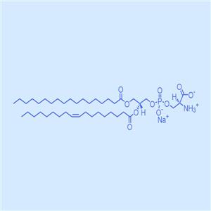 為華生物磷脂酰絲氨酸(豬腦)Brain PS,383907-32-2