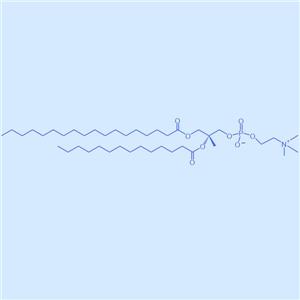 SMPC,1-硬脂酰-2-肉豆蔻?；蚜字?20664-02-2