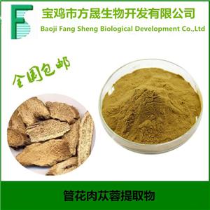 管花肉蓯蓉提取物 總苷60%UV，松果菊苷≥20% 毛蕊花糖苷≥5%現(xiàn)貨