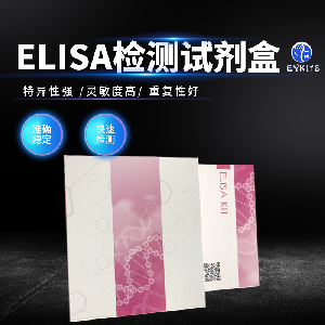 ADAM8 Elisa Kit