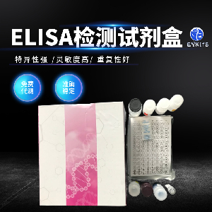 IL-6 Elisa Kit