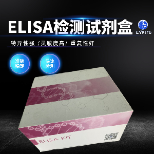 Mouse Cyclin-D2 Elisa Kit