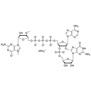 (3'-OMe-m7G)(5')ppp(5')(2'-OMeA)pG·NH4