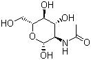 N-乙酰氨基葡萄糖