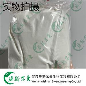 乙酰氨基阿維菌素 123997-26-2 維斯?fàn)柭锔呒冊(cè)噭?現(xiàn)貨直發(fā)13419635609